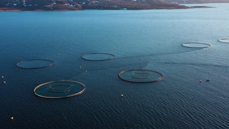 aerial footage farm salmon fishing in norway