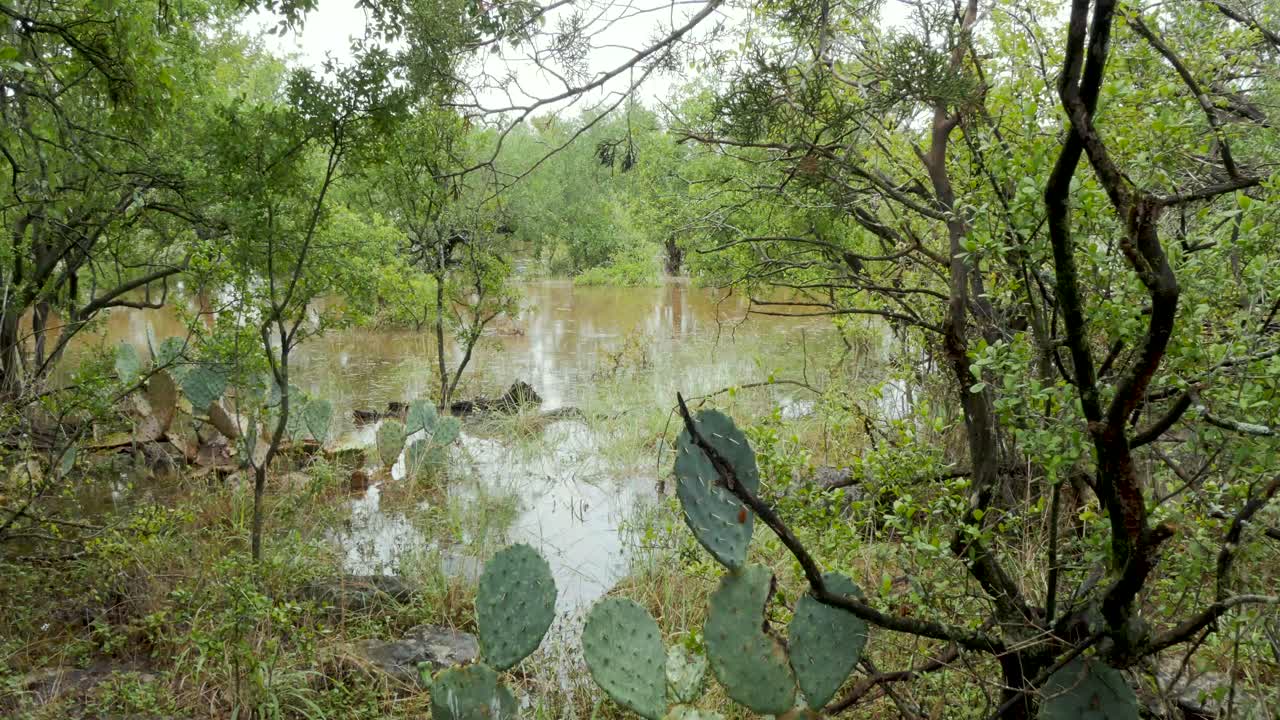 parque inundado después de fuertes lluvias