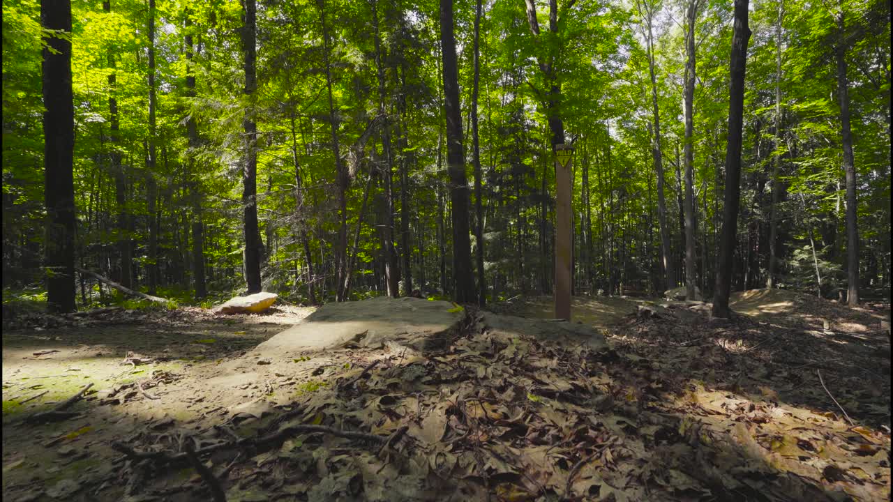A mountain biker flies past the camera and the camera follows the biker to a yield sign.