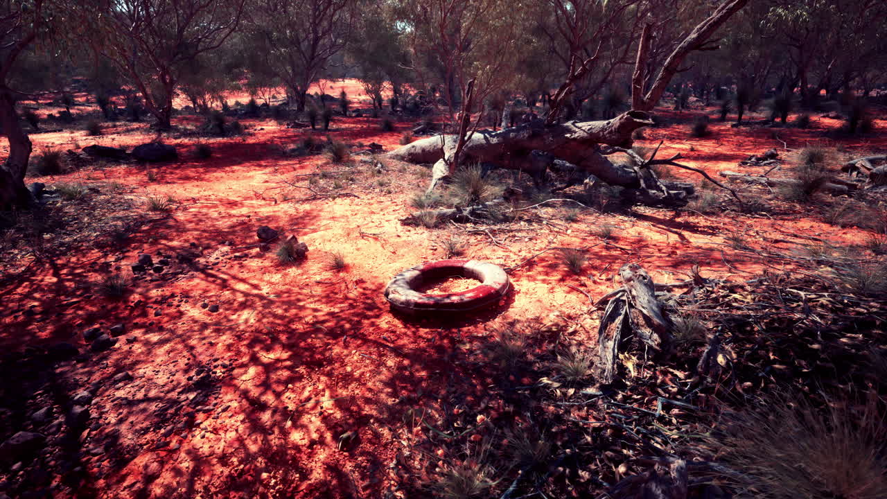life ring buoy in desert beach