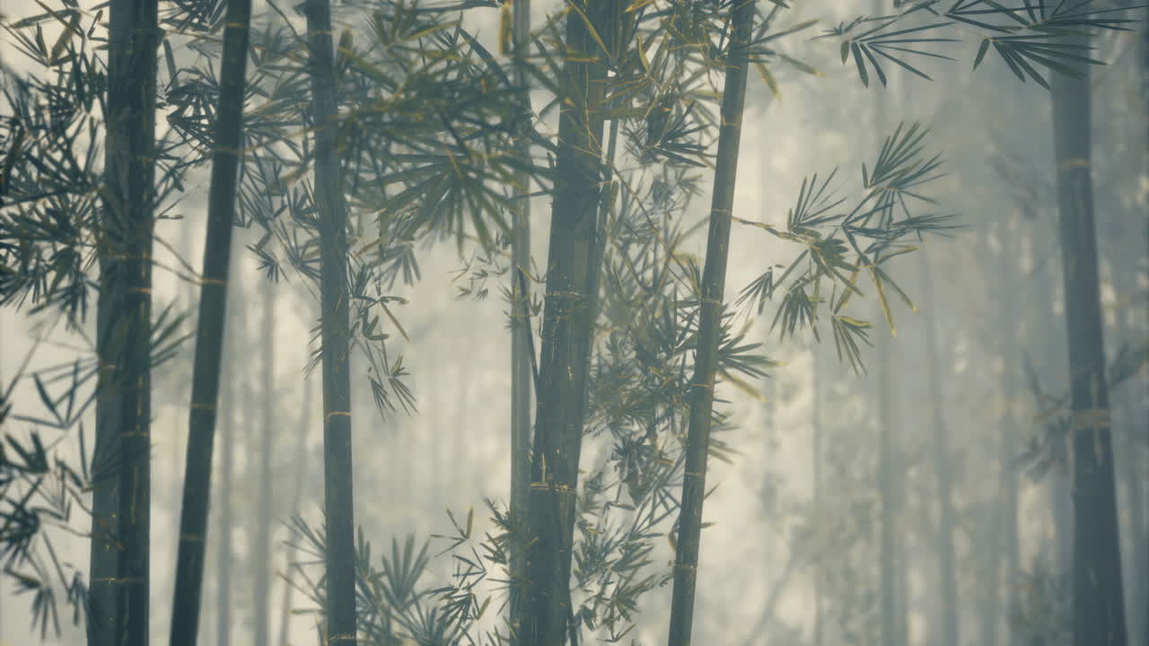 Whispers of nature in a serene bamboo forest at dawn