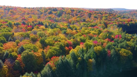 Breathtaking-view-of-the-autumn-foliage-from-above-the-city-of-Montreal,-Quebec,-Canada