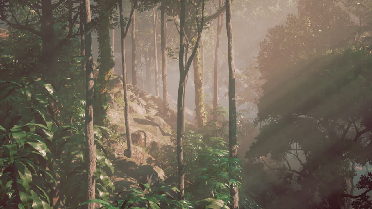 una escena pacífica de la selva con rayos de sol brillando a través de los árboles y la niebla