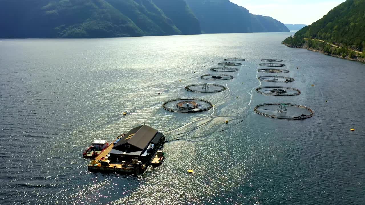 노르웨이에서 연어  ⁇ 시를 하는 공중 촬영