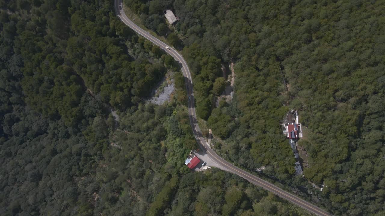 멕시코 시골의 울창한 숲 을 둘러싼 길이 긴 도로, 공중에서 아래로 볼 수 있습니다.