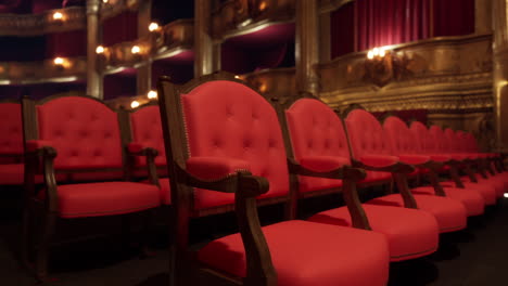 empty seats in a luxurious theater auditorium