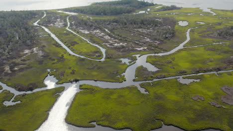 drone of salt marsh with channels all throughout