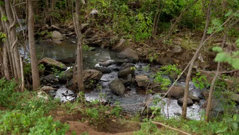 Wasser-Fließt-Auf-Dem-Felsigen-Fluss-Im-Wald