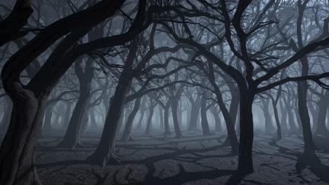 eerie forest scene with twisted trees and fog, captured from a low-angle