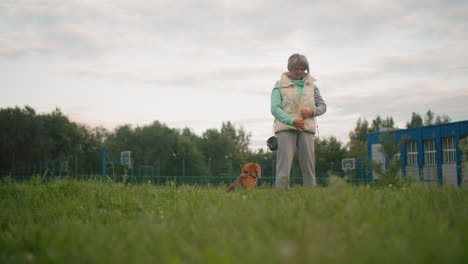 Beautiful sports woman wearing her jacket, standing in garden with her dog. The dog is sitting on grass in the background, while she prepares herself for the next activity in the outdoor environment