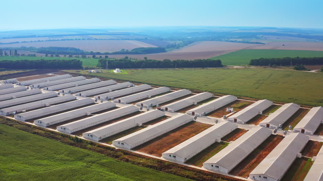 Large agribusiness enterprise amidst green plantation. Well-kept area of modern farming complex shot from drone. Nature at backdrop.