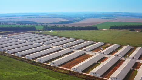large agribusiness enterprise amidst green plantation. well-kept area of modern farming complex shot from drone. nature at backdrop.