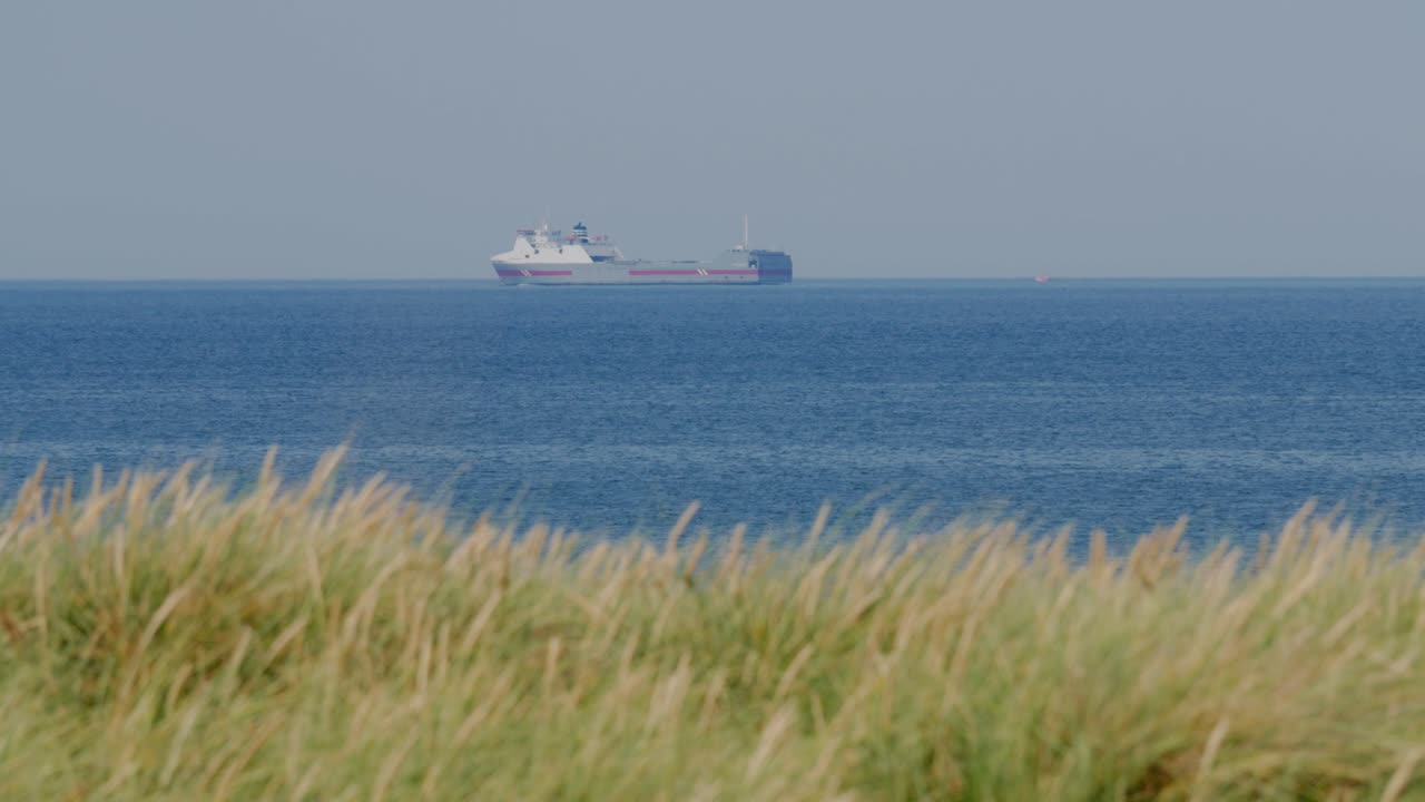 전경에 잔디가 있는 수평선에서 오른쪽에서 왼쪽으로 움직이는 화물선