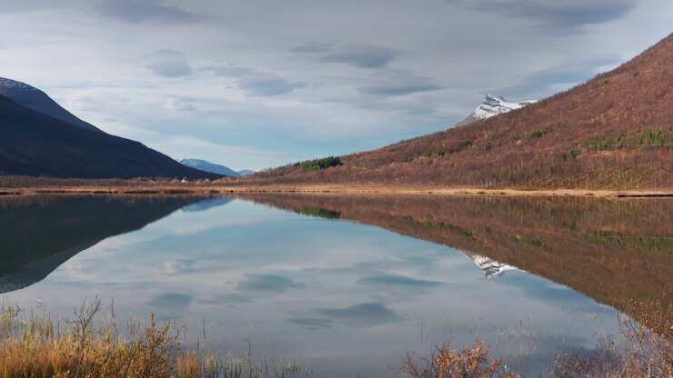 Vista aerea di un gruppo di canoe sulla riva del lago poco profondo.