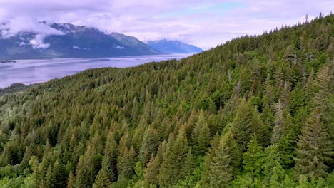 Vista-Aérea-Sobre-Coníferas-Y-árboles-De-Hoja-Perenne-A-Lo-Largo-Del-Brazo-Turnagain-En-Alaska