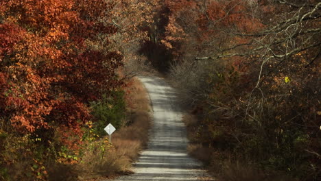 Camino-Rural-Entre-Un-Frondoso-Bosque-Con-Coloridos-árboles-Otoñales-En-AR,-EE.UU.---Disparo-De-Drones