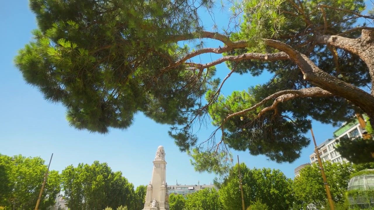 Vista dal basso di rigogliosi pini e del monumento a Cervantes in Plaza de España a Madrid. Ideale per contenuti su viaggi, sostenibilità e natura urbana