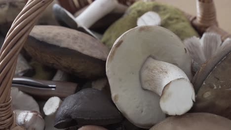 handheld shot of mushrooms in a basket