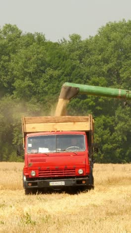modern combine harvesting grain in the field