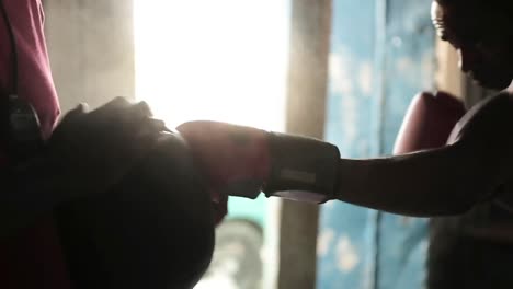 boxer punching a medicine ball