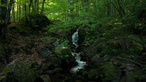 Small-river-waterfall-in-a-lush,-green-forest