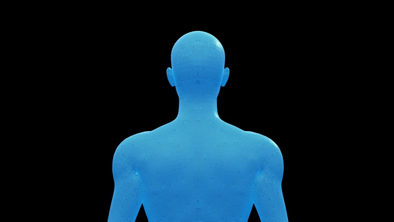 hombre, hombre modelo de marco de alambre 3d, bucle sin costura