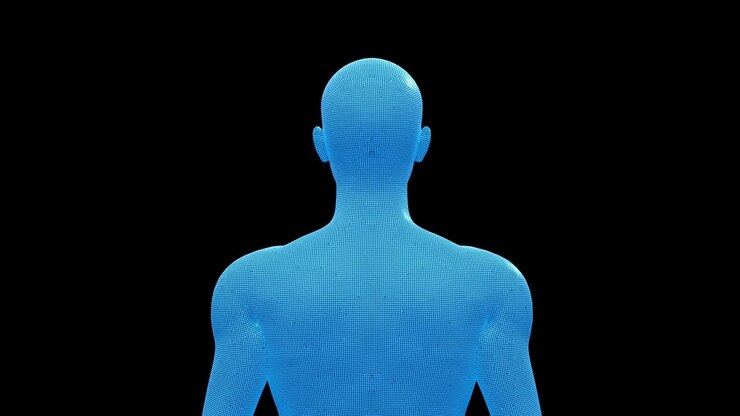 Man, Male 3D Wireframe Model, Seamless Loop