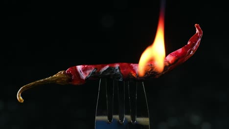 dried red indian chili pepper burning on a fork