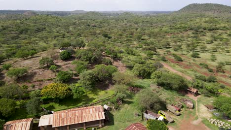 Üppige-Bäume,-Die-Auf-Einer-Afrikanischen-Farm-Wachsen---Drohnenaufnahme