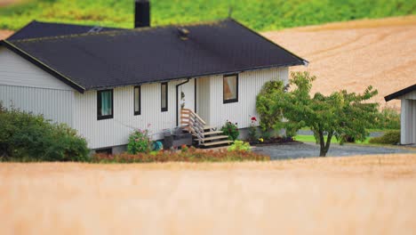 A-cozy-Norwegian-house-surrounded-by-freshly-sown-wheat-fields