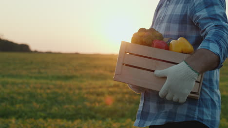 un agricultor lleva una caja de verduras frescas de su campo 5
