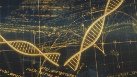 cadenas de adn y ecuaciones matemáticas animación sobre el fondo de la cuadrícula científica
