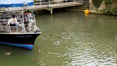 people feeding ducks from a canal boat