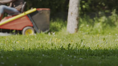 mowing the grass with a ride-on lawn mower