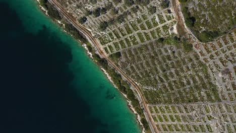 bird's eye view of primosten babic vineyard in croatia - drone shot