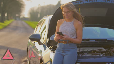 señal de triángulo de advertencia de peligro para la avería del coche en la carretera con una mujer enviando mensajes de texto para pedir ayuda