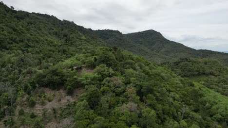 Left-to-right-pan-shot-of-green-densely-vegetation-mountain-peaks-in-Hawaii