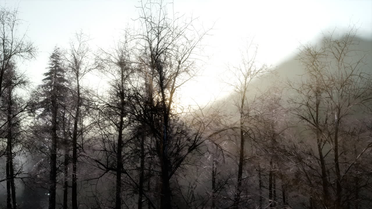 산 속 의 아름다운 겨울 풍경