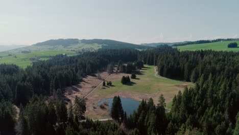 Aerial-of-Lakes,-Forests-and-Mountains-in-rural-Switzerland