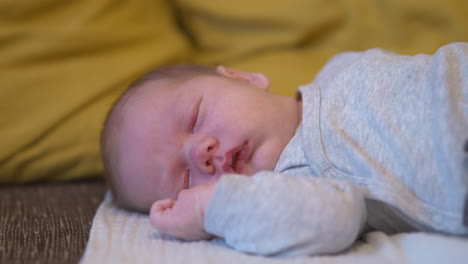 cute newborn baby sleeping and stretching on blanket, close up