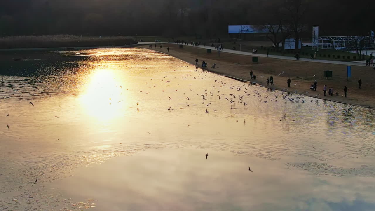 Aerial drone view of Valea Morilor Park in Chisinau at sunset, Moldova. Lake with people on the beach, bare trees