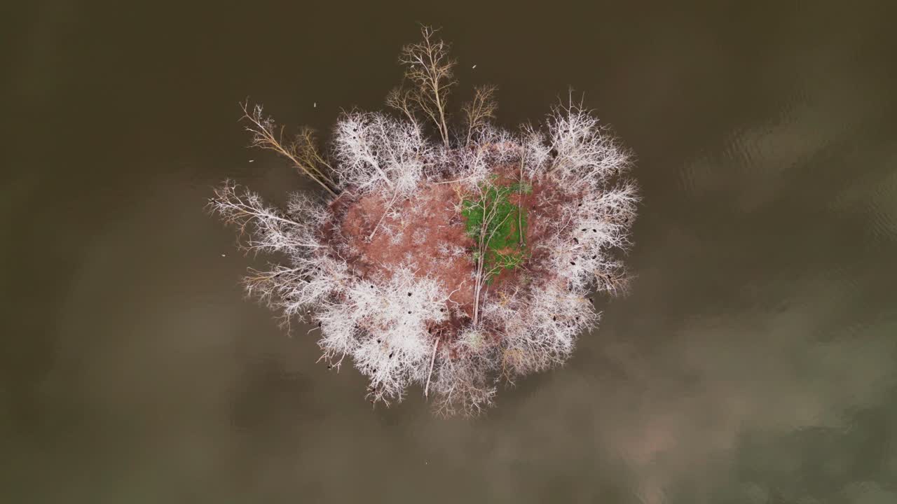 vista aérea de arriba hacia abajo ascendente del lago adamov pequeña isla eslovaquia