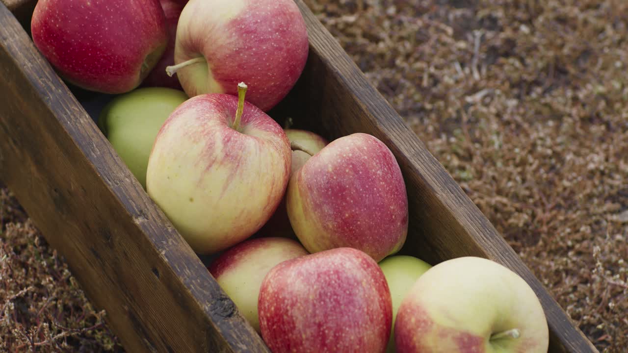 manzanas en una caja de madera