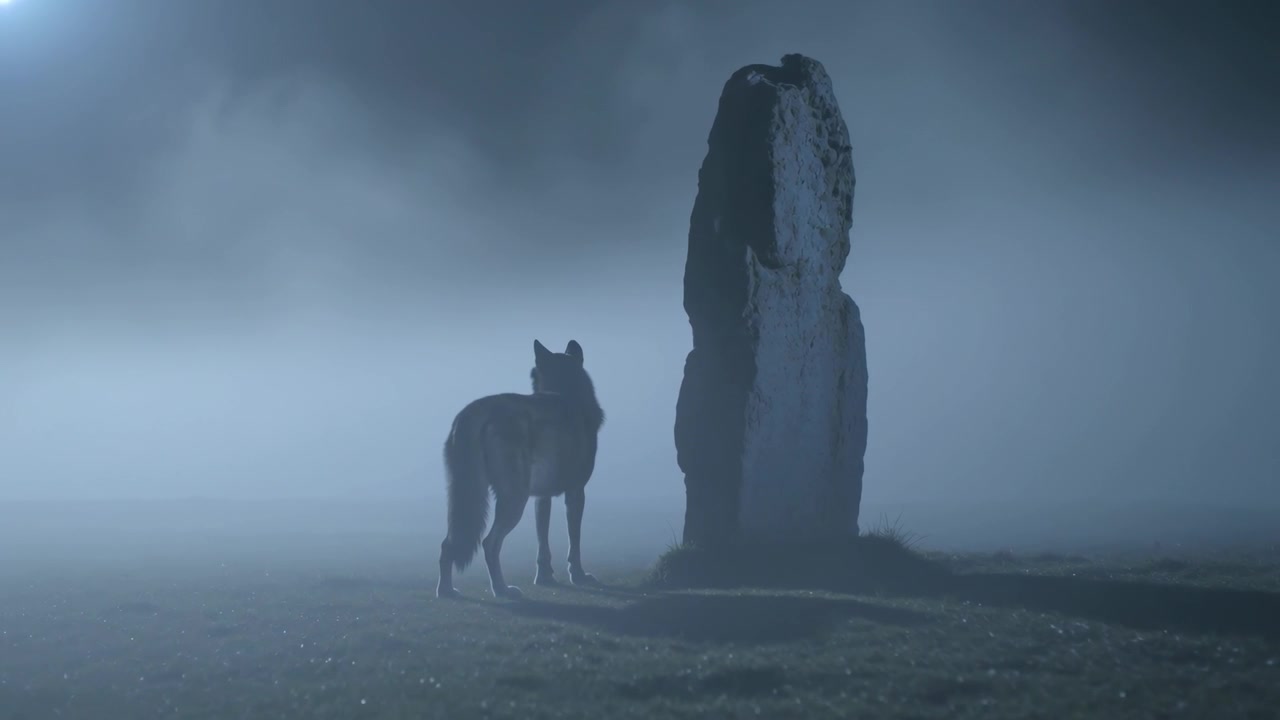 Ensomt ulvelignende hundedyr bevæger sig mod en høj menhir på en tåget hede, spejdende, med plads til tekst.