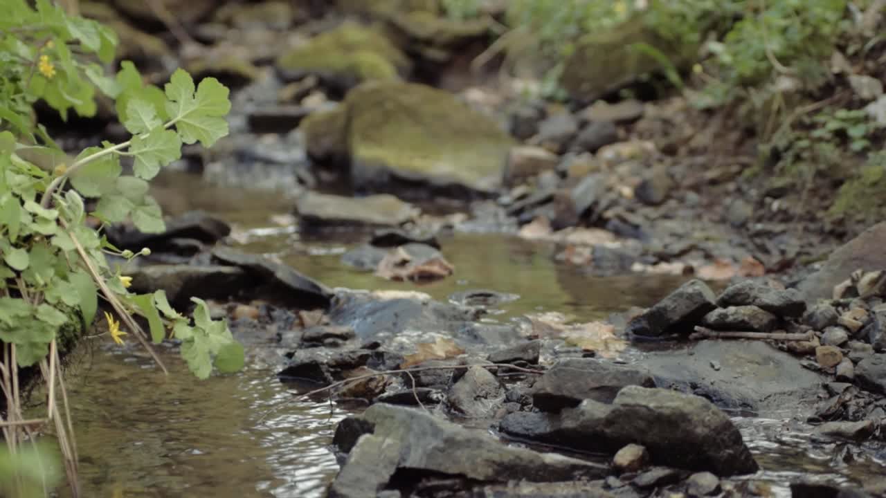 Natural clear water stream with rocks, pebbles and stones close up crane tilting shot