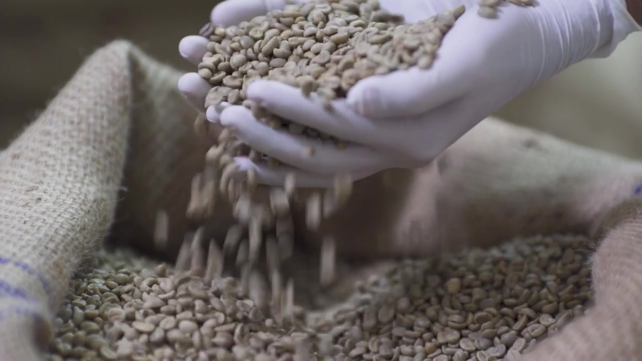 chilean coffee beans roasting cafe espresso specialty barista morning brew