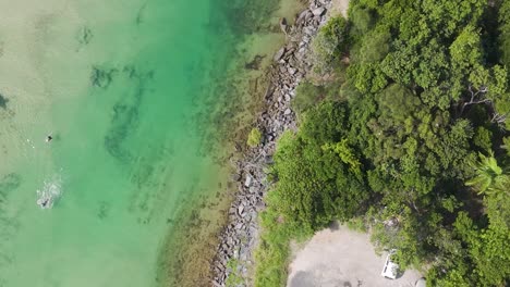 aerial footage showcasing a parking area beside vibrant green waters and lush greenery.