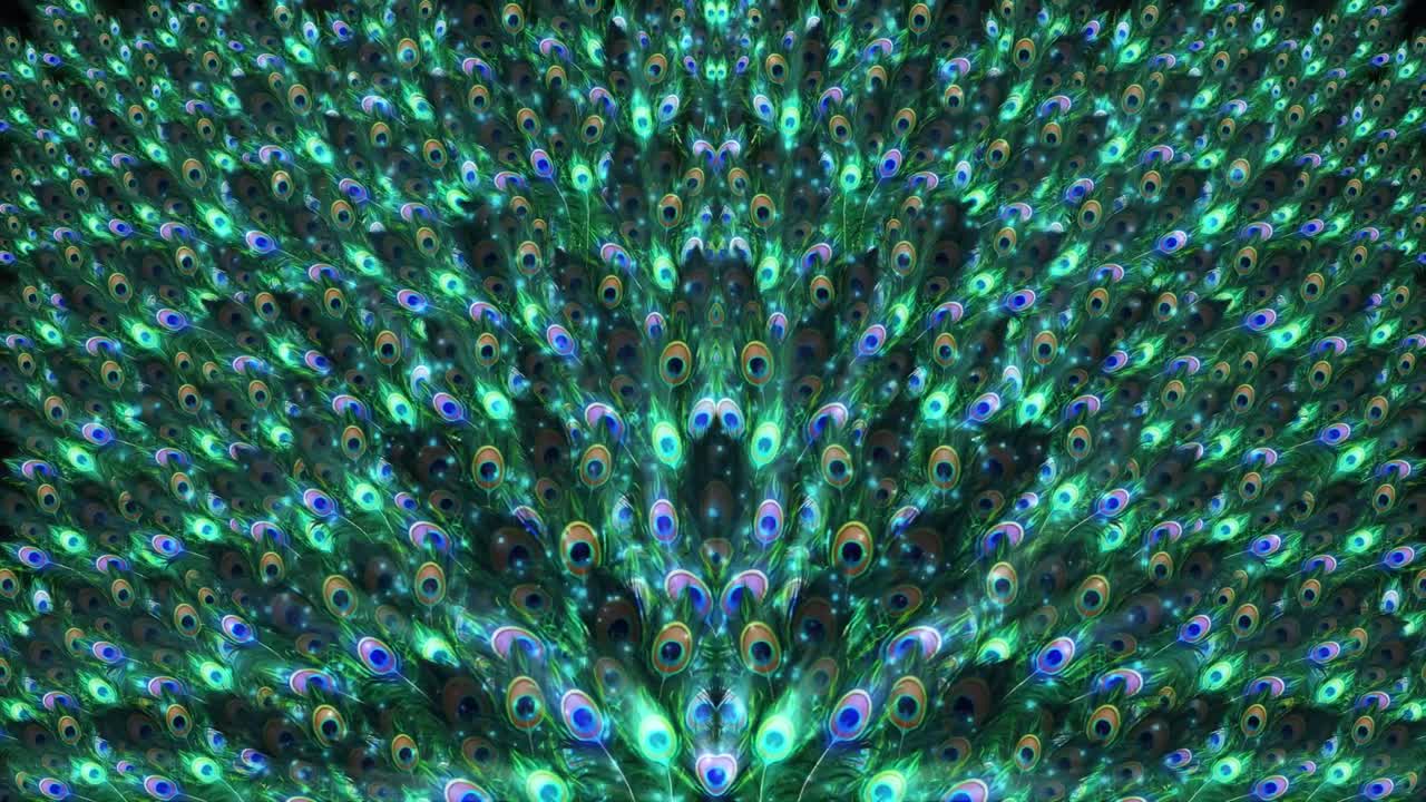 fondo de video animado de movimiento de pluma de pavo real