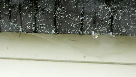 dripping rain drops on a shed roof in a garden in the north of england