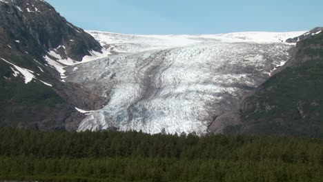 bosque y glaciar de alaska